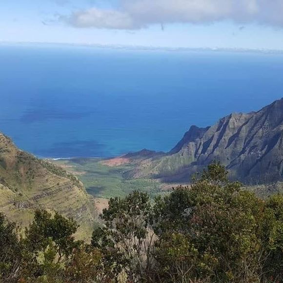 Meet your Posher, Kimberly - Picture 1 of 1